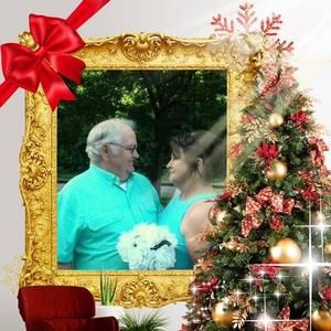 Meet your Posher, Dee